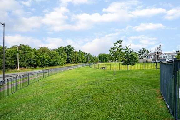 Fenced-In Dog Park