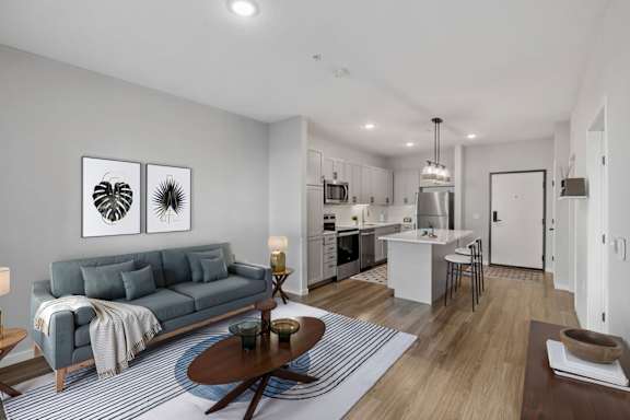 Spacious Living Area With Wood-Style Flooring