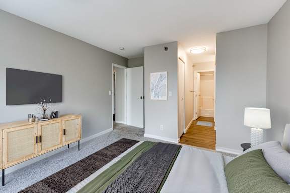 A back view of a bedroom with a television, a couch, and a rug.