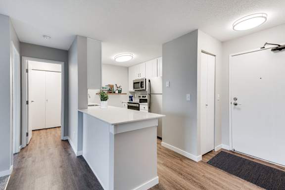 A kitchen with white cabinets and a white countertop with a plant on it.