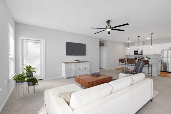 Living Room with Plush Carpeting