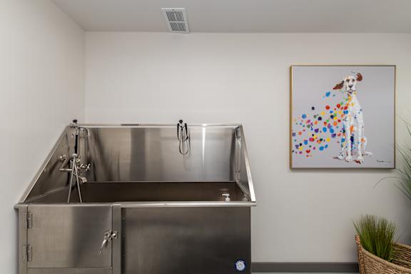 A stainless steel sink with a faucet and a painting of a dog with dots on it.