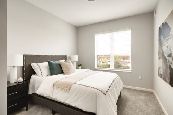 Bedroom with Plush Carpeting