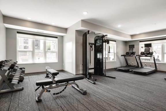 Fitness Center With Cardio Equipment & Free Weights