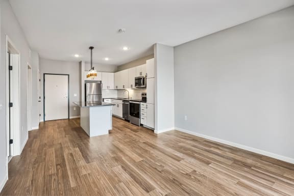 Spacious Living Area With Wood-Style Flooring