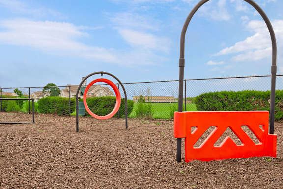 Dog Park with Equipment