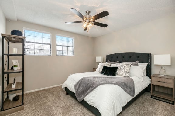 Bedroom with Plush Carpet and Double Windows