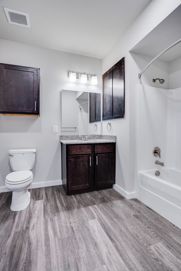 Bathroom With Wood-Style Floors & Overhead Vanity Lighting
