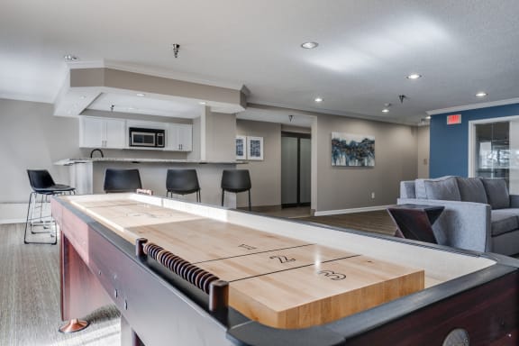 Shuffleboard Table