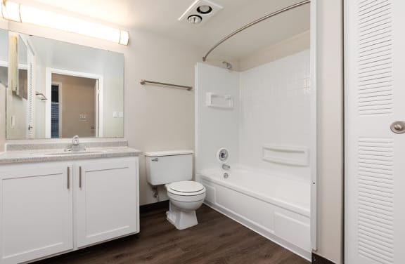Bathroom with Wood Style Flooring and White Vanity