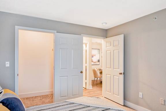 Bedroom with Large Closet