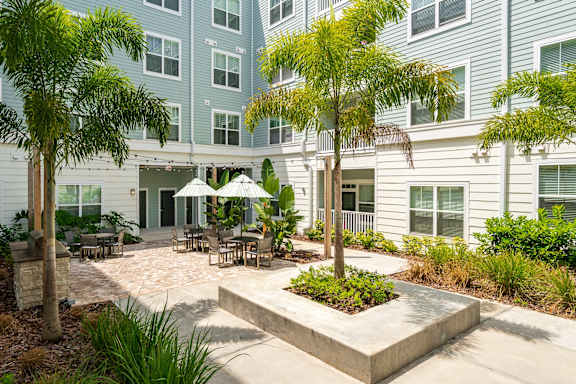 Courtyard Oasis With Palm Trees & Overhead String Lights
