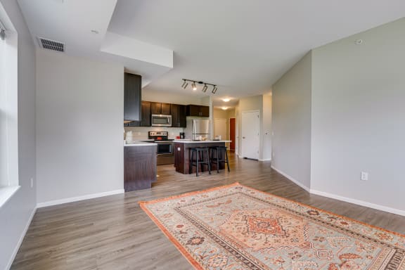 Open Concept Living Room & Kitchen With Wood-Style Flooring