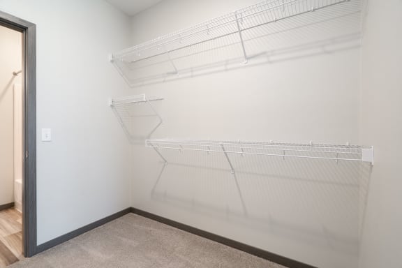 Large Walk-In Closet With Built-In Shelving In The Starling Floor Plan
