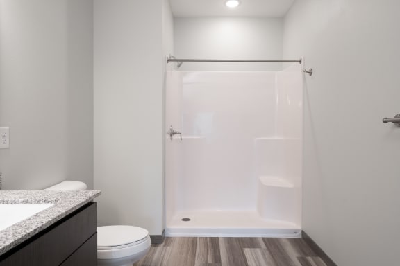 Spacious Walk-In Shower With Wood-Style Flooring In The Loon Floor Plan