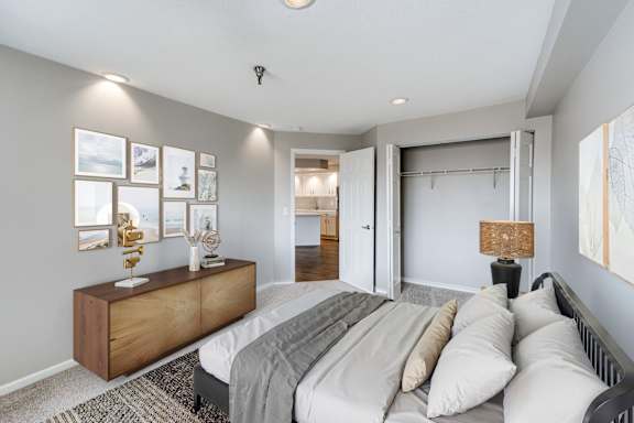 A bedroom with a large bed and a closet.