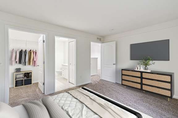 Bedroom With Walk-In Closet