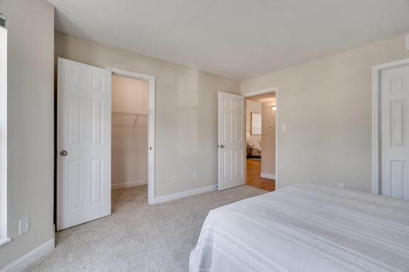 Carpeted Bedroom With Walk-In Closet