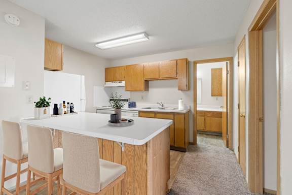 Kitchen with Wood Cabinets