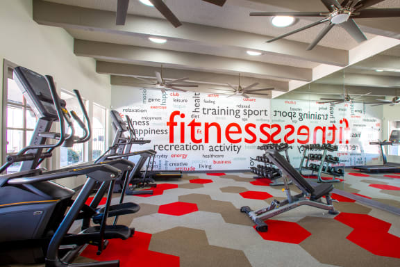 a fully equipped gym with cardio machines and weights