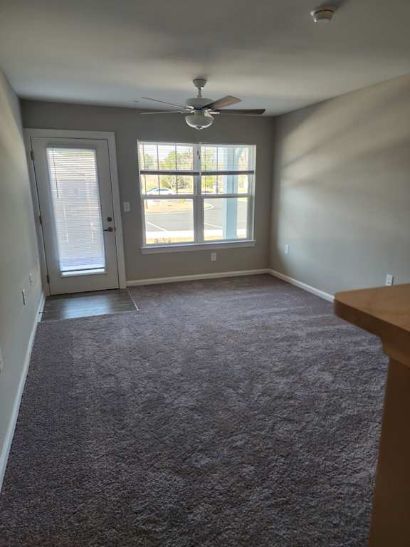 Master Carpeted at Love Mill, Whiteville