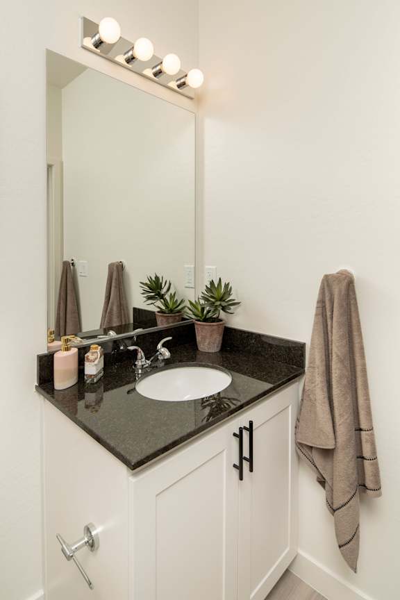 A bathroom with a sink, mirror, and a plant.