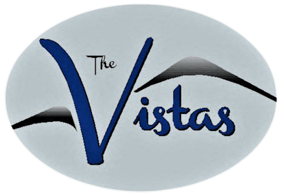 A logo with a blue 'V' and the word 'The' above it.