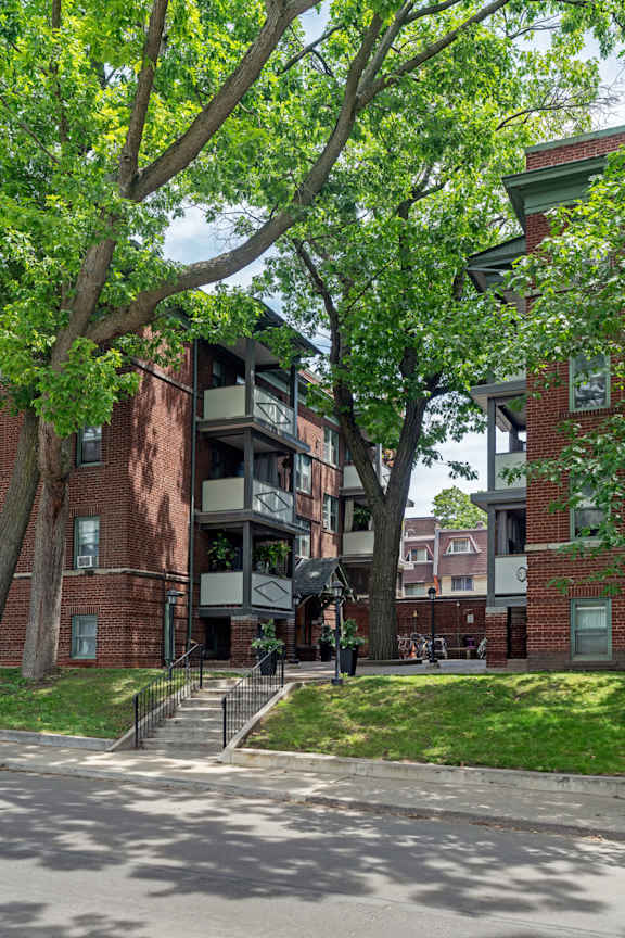 A tree with green leaves is in front of a red brick building.at 83-85 Silver Birch, Toronto