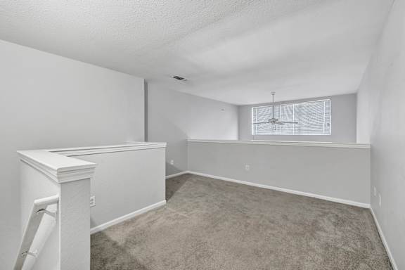 Wall-To-Wall Carpeting at Ardenwood Apartments, Connecticut, 06473