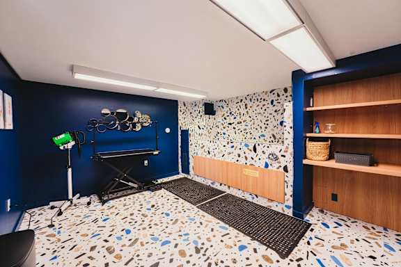 a recording studio with blue walls and a white and blue tile floor at Up House, Farmington, 06032