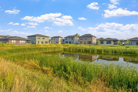 a pond in front of a row of houses