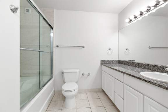 a bathroom with a shower toilet and a sink