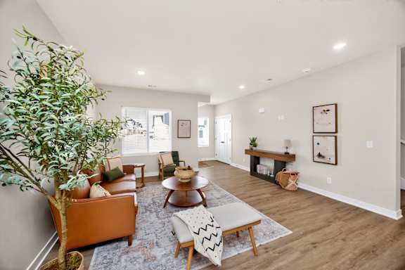 A living room with a tree, couches, and a rug.