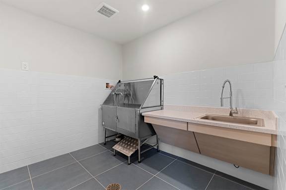 A modern bathroom with a sink and a shower stall.