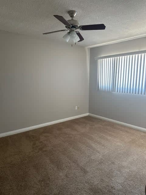 A room with a ceiling fan and carpeted floor.