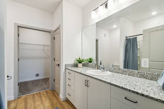 a bathroom with a sink and a shower and a mirror