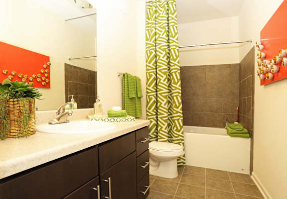 Spa Inspired Bathroom at Tattersall Chesapeake, Chesapeake