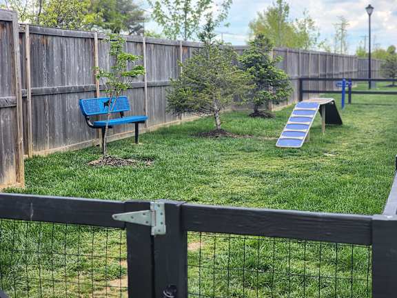 a backyard with a bench and a trampoline