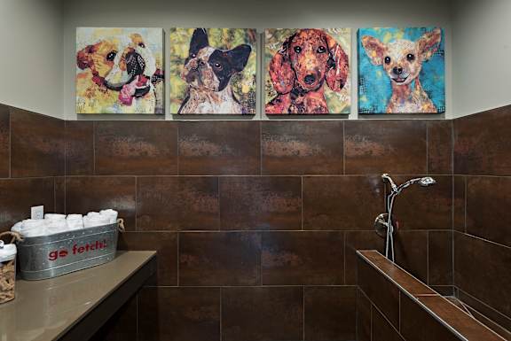 A bathroom with a brown tiled wall and a shelf with a container of dog treats on it.