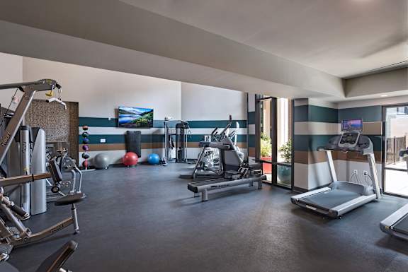 A gym with a variety of equipment including treadmills, weights, and exercise balls.