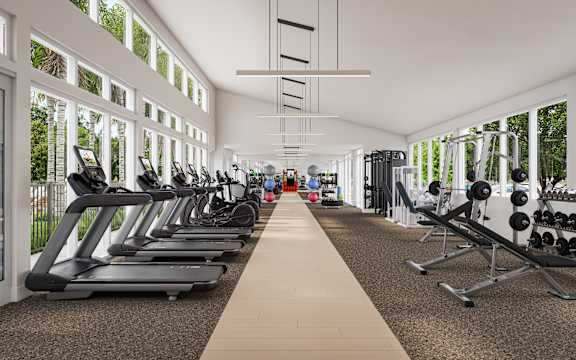 A gym with treadmills and weights on the right side.