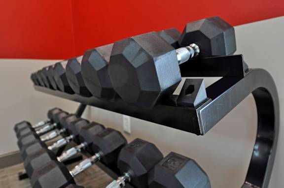 Free Weights at The Metropolitan, Kentucky, 40517