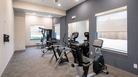 Avion at West Lemmon exercise room with treadmills, exercise bikes, and other equipment.