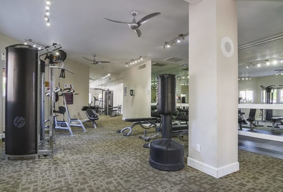 a gym with cardio equipment and weights on the floor at Stonebridge, Arizona, 85032