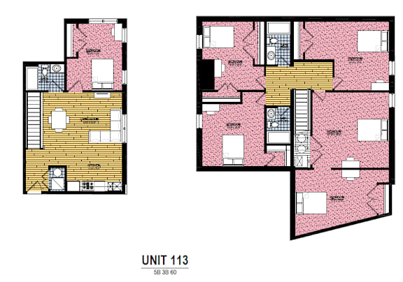 Two floor plans for apartment unit 113 are shown.