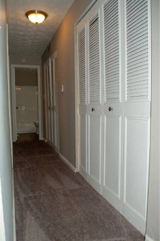 A hallway with white doors and carpeted floor.