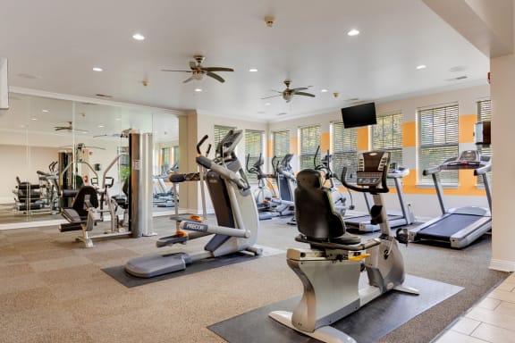 a gym with treadmills and other exercise equipment