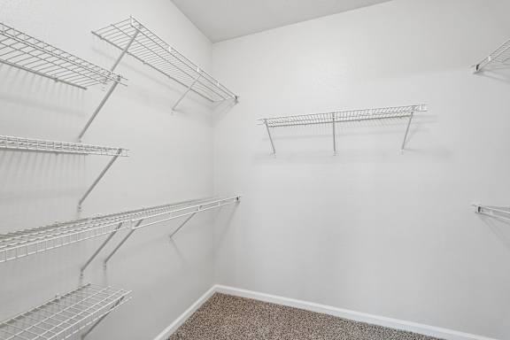 Empty walk-in closet with shelving and carpeted floor.