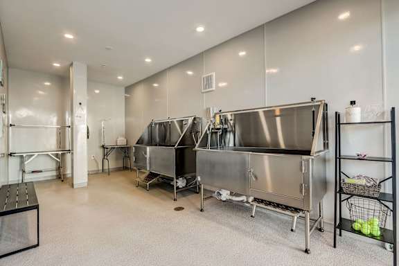 A clean, empty room with stainless steel appliances and a basket of tennis balls on the shelf.