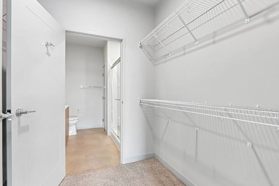 A white room with a walk-in closet and a toilet in the background.